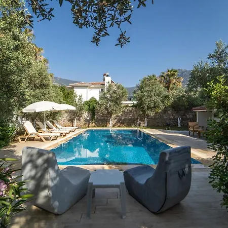 فيلة Magnificent With Private Pool Amazing View And Backyard In Oludeniz