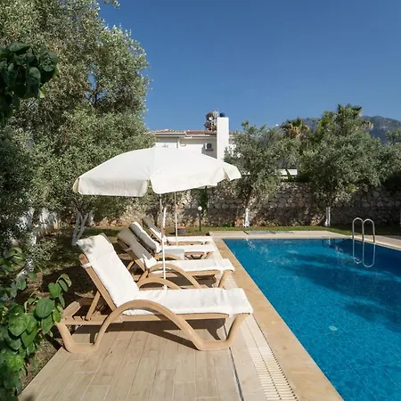 فيلة Magnificent With Private Pool Amazing View And Backyard In Oludeniz